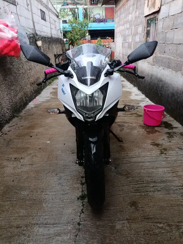 Dijual Kawasaki ninja 250 Rr mono