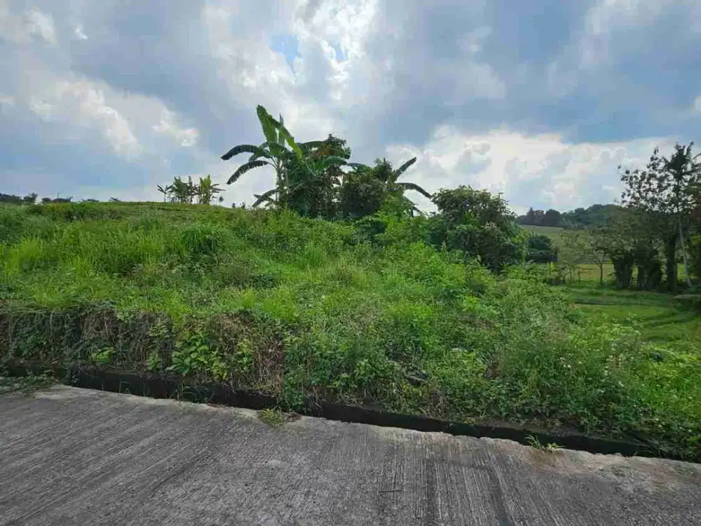 TANAH  200m² DI KAWASAN VILA PANTAI KELUCUNG TABANAN BALI