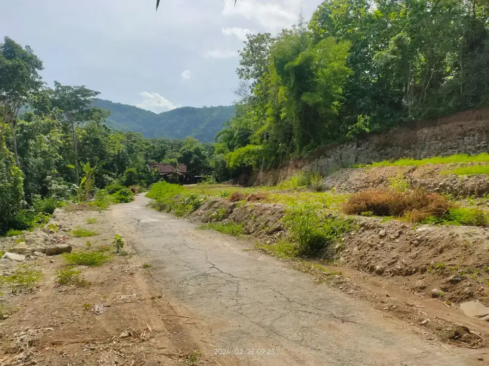 Investasi Tanah Murah Dekat Puncak Sosok Bantul Bisa Dicicil