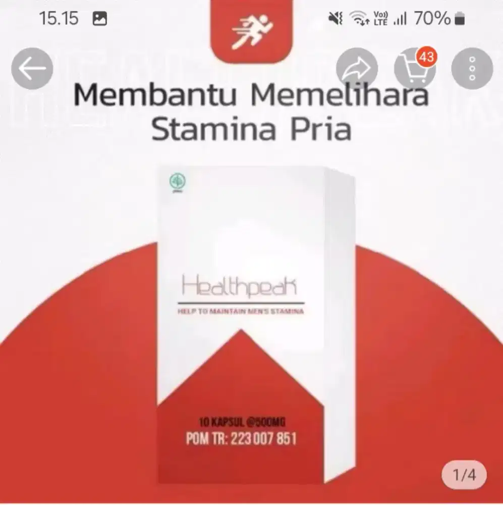 Healthpeak stamina