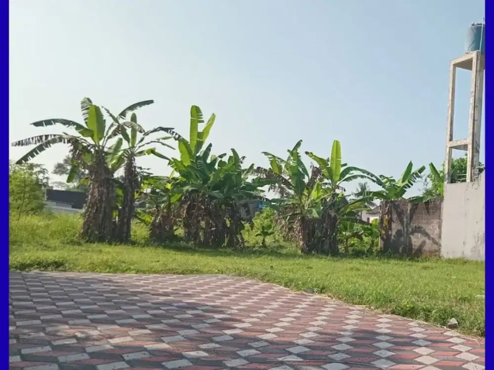 Tanah Timur Tajem Maguwoharjo Cocok Hunian SHM Pekarangan