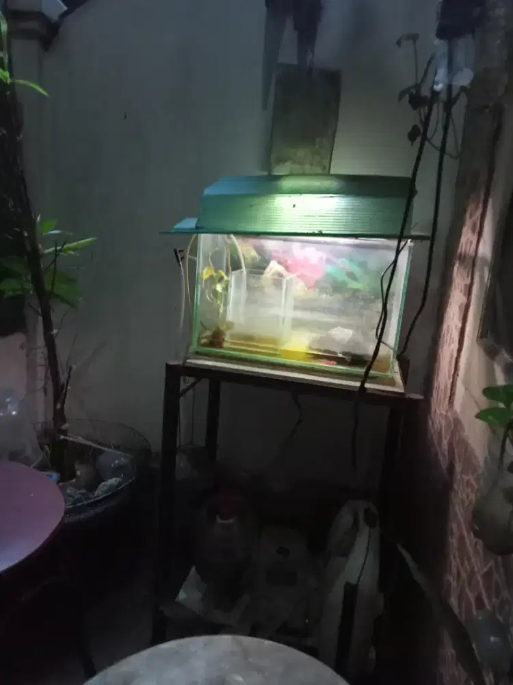 Di jual akuarium