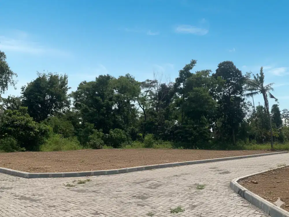 Tanah Murah Tirtomartani Kalasan, Hanya 2 Jutaan Bisa Cicilan 0% Bunga