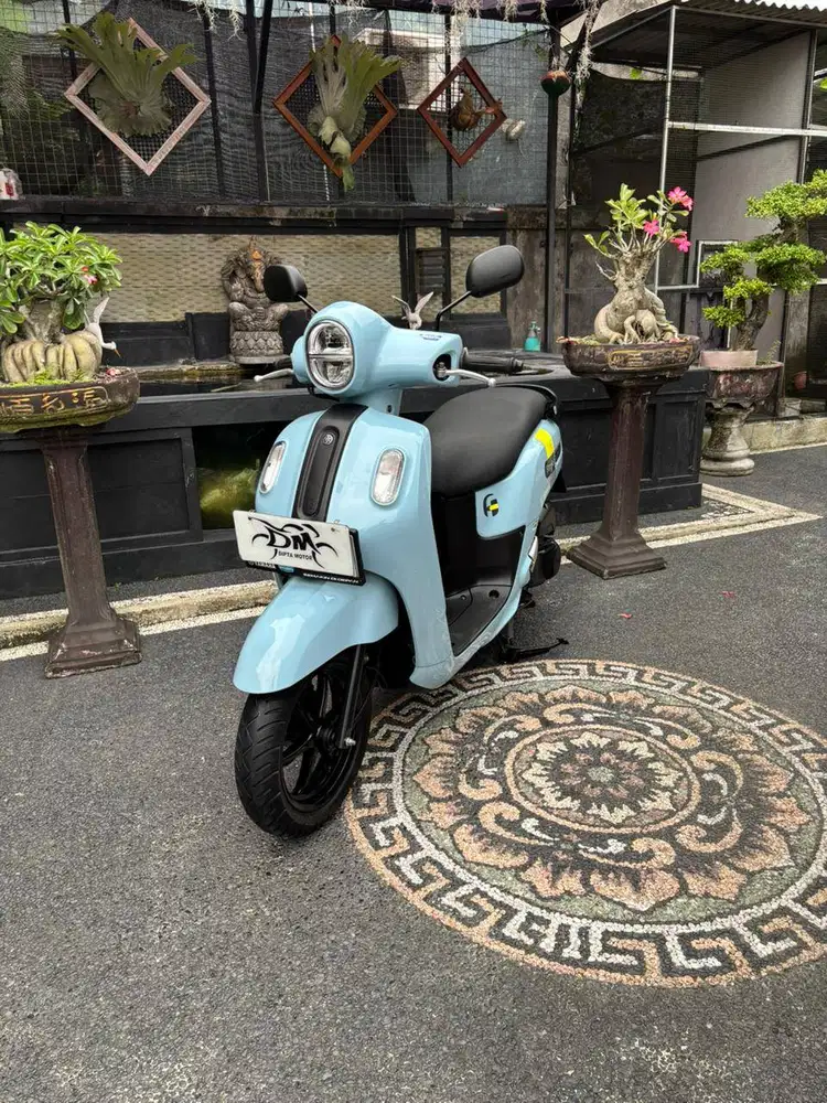 Fazio neo tahun 2024