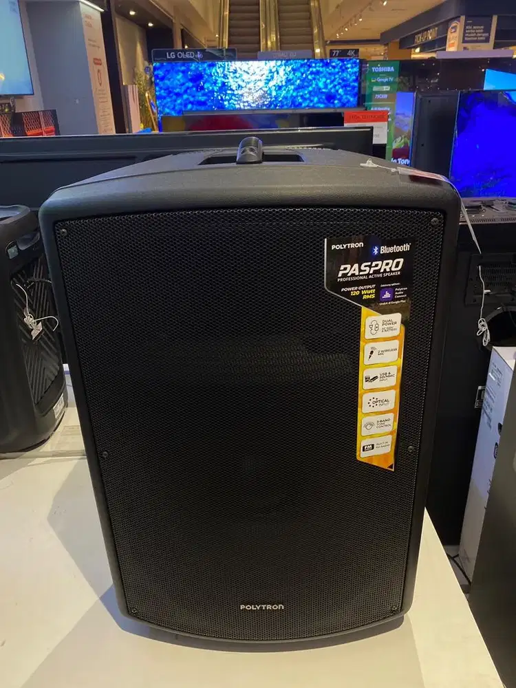 POLYTRON ACTIVE SPEAKER PAS PRO15F3