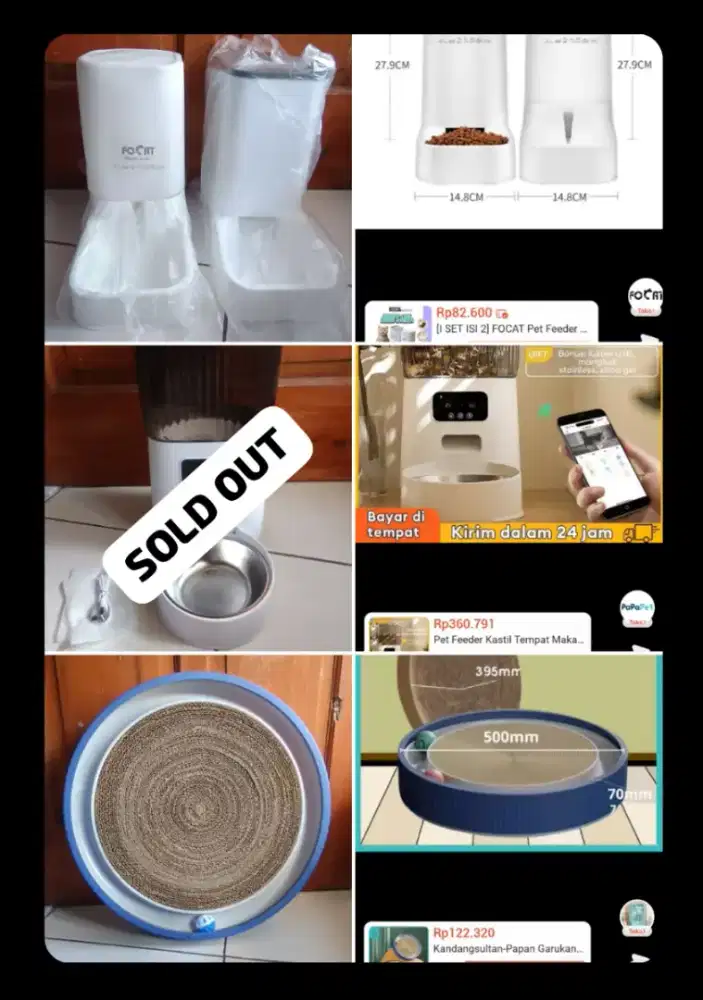 Perlengkapan kucing lengkap murah