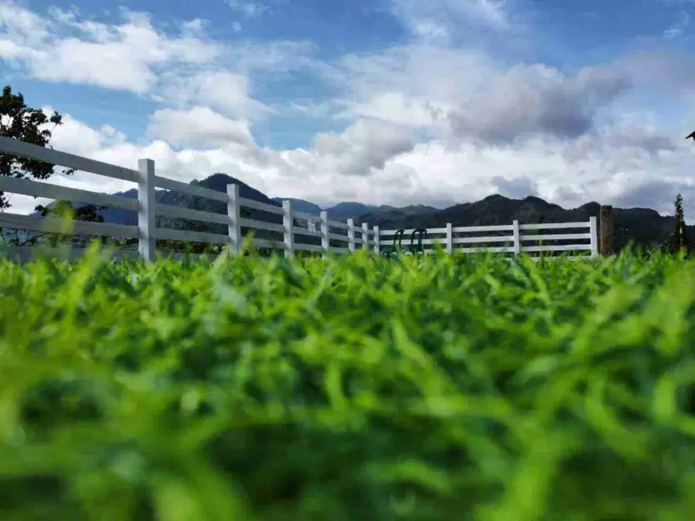 TANAH KAVLING VILLA VIEW PEGUNUNGAN LEGALITAS SHM DAN JONA KUNING DI BOGOR TIMUR