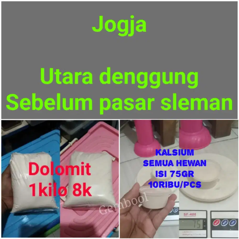 Perlengkapan geckonya