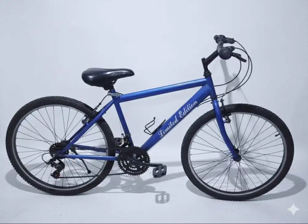 Sepeda Dewasa Secound