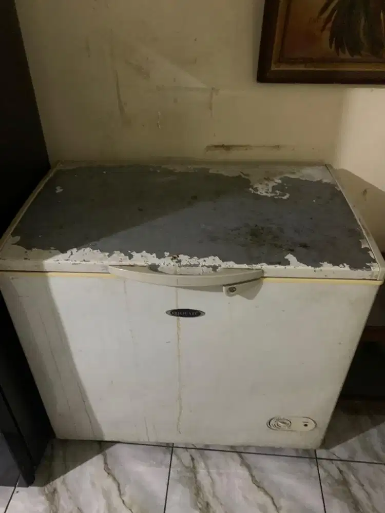 frezeer frigigate F 200