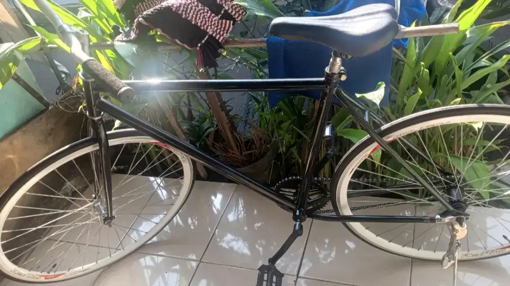 Sepeda fixie torpedo
