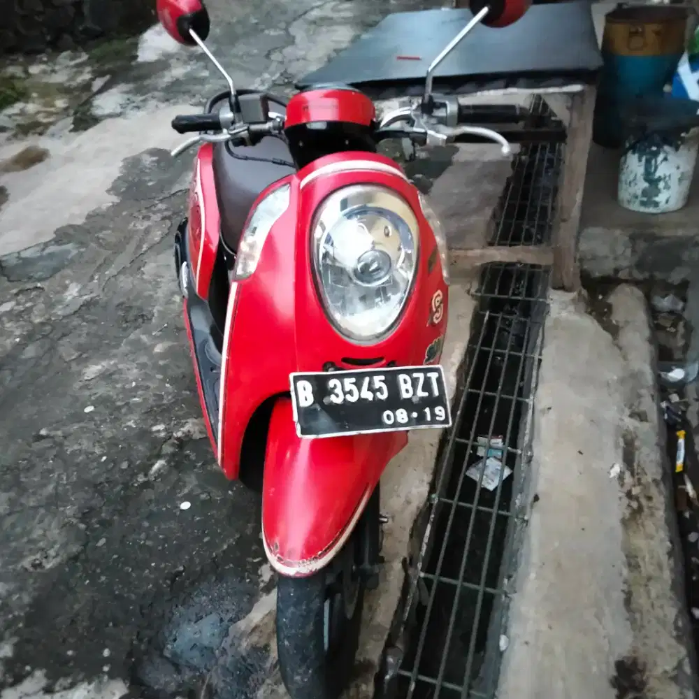 Scoopy 2014 komplit
