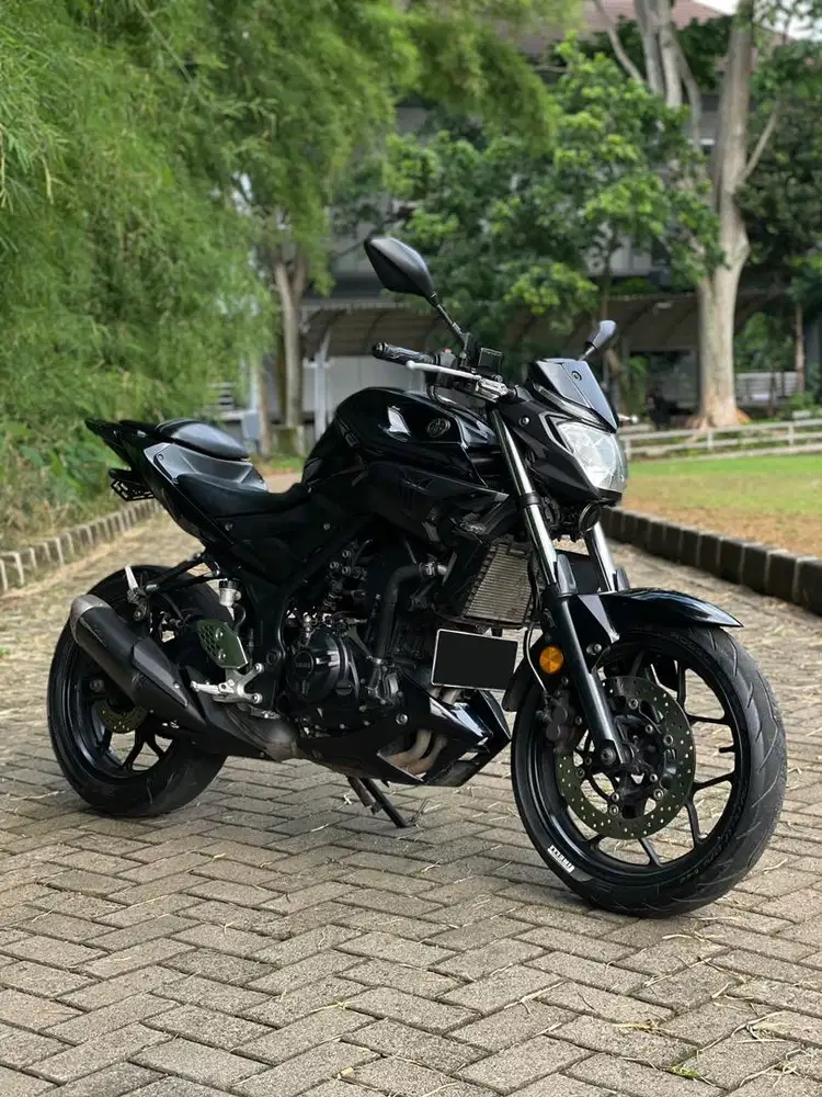 2017 Yamaha MT25 250cc MT 25 250