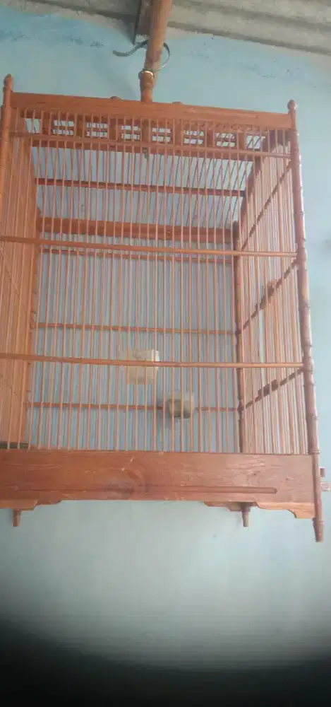 Jual 2kandng murah za