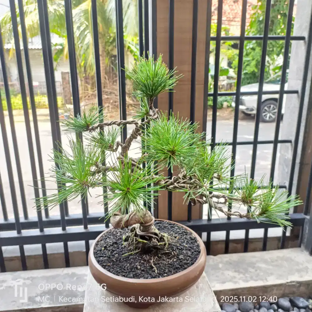 Dibutuhkan driver online