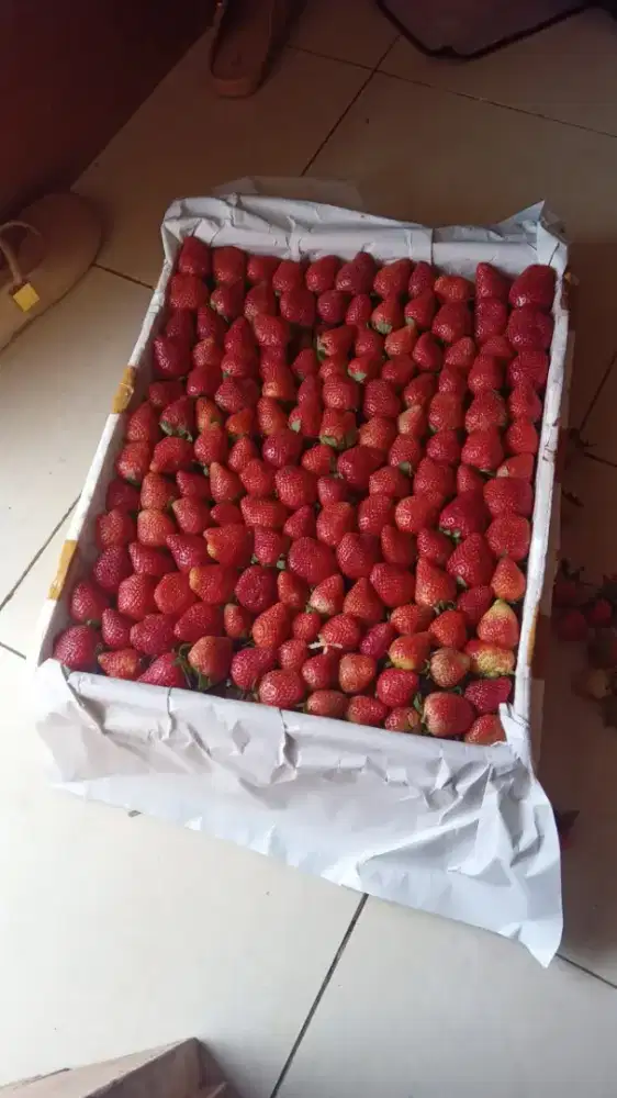 Strawberry fresh ciwidey