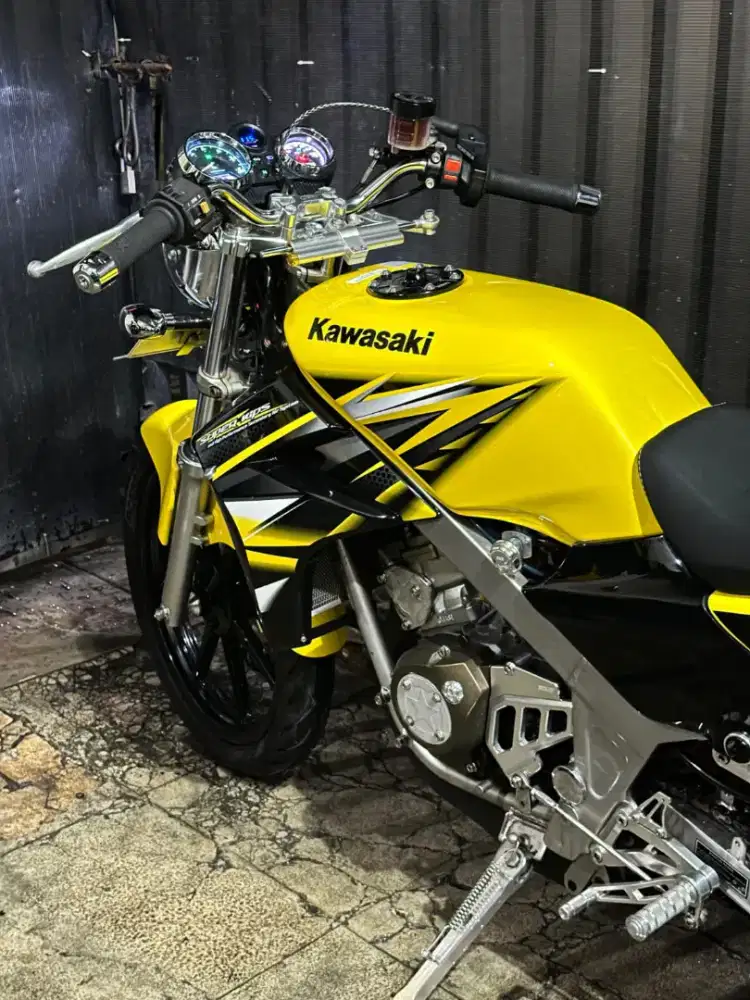 Kawasaki Ninja SS th 2013