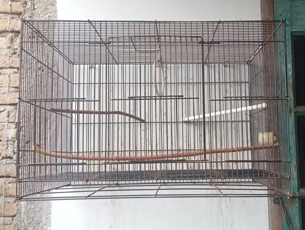 Kndg ternak burung Lbird + talamnya