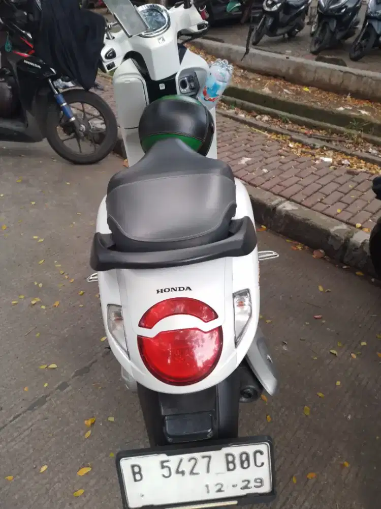 Honda scoopy 2024