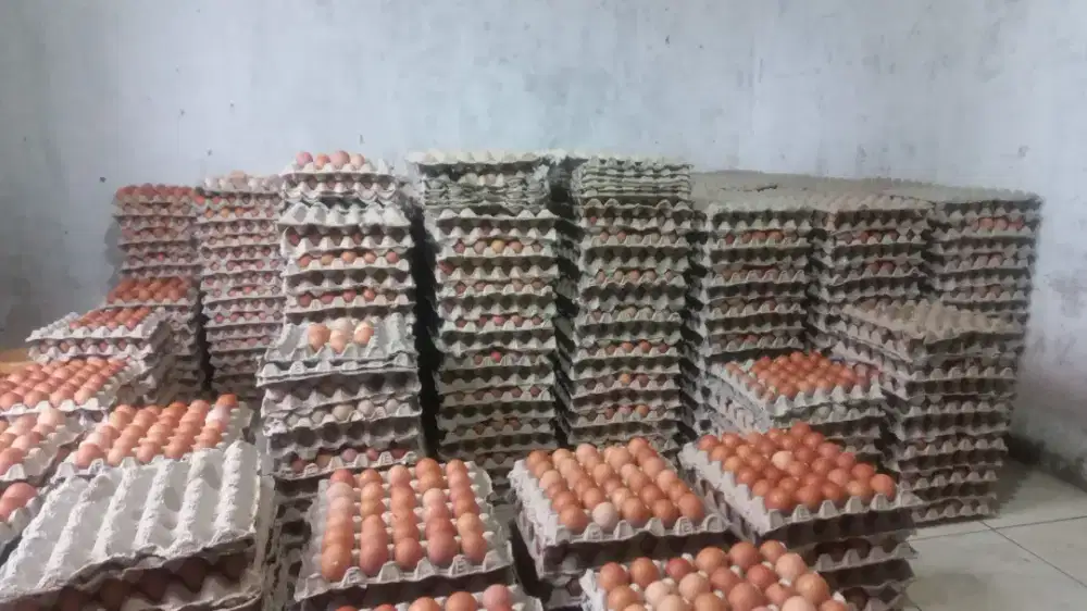 Dicari driver dan tukang sortir