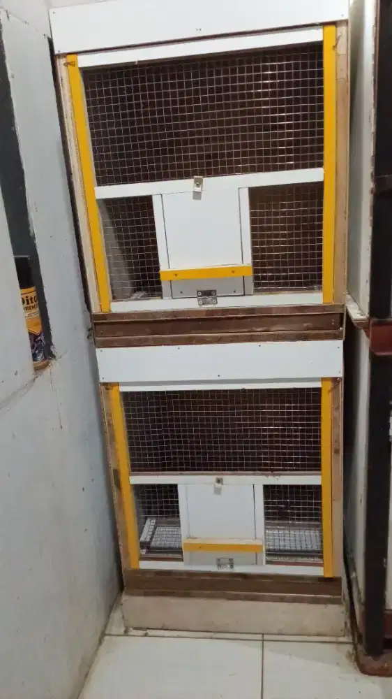 Kandang semi macan ukuran kurang lebih 60x50cm