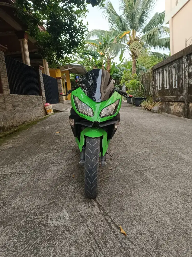 Kawasaki Ninja 250 FI