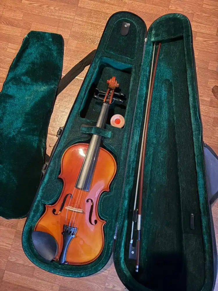 BIOLA VIOLIN second mulus
