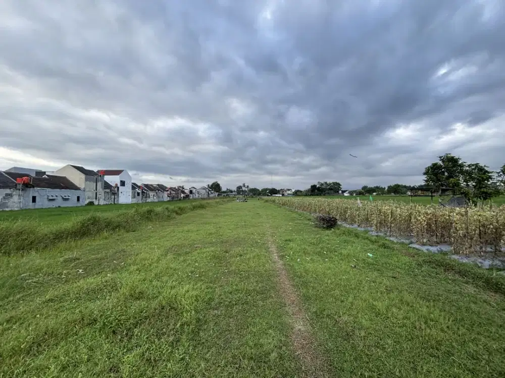 300 Jtan Area Godean 3 Menit Sekolah Al-Azhar Free Desain Rumah