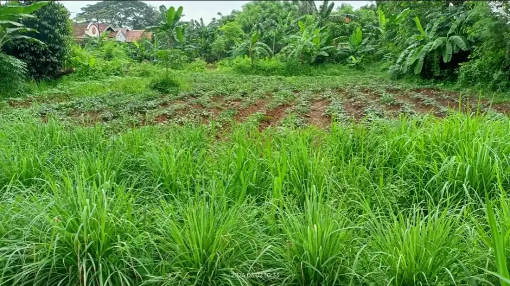 Dijual Tanah Luas 649 m²