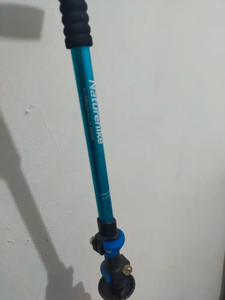 Preloved Trekking Pole
