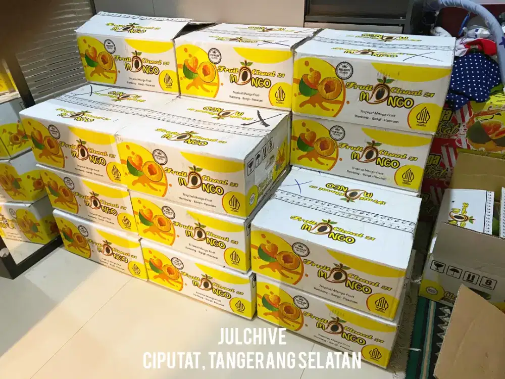 DICARI RESELLER BUAH-BUAHAN MUSIMAN FRESH