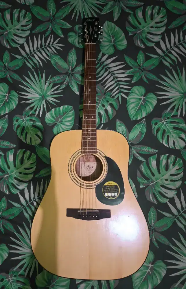 Gitar Cort AD 810 OP Original
