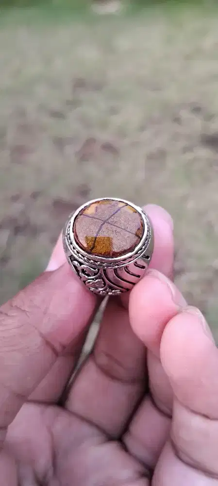 Tapak jalak sti gunting