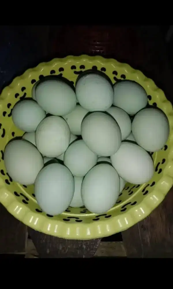 Jual Telur Asin bagus masir gak bakalan kecewa.