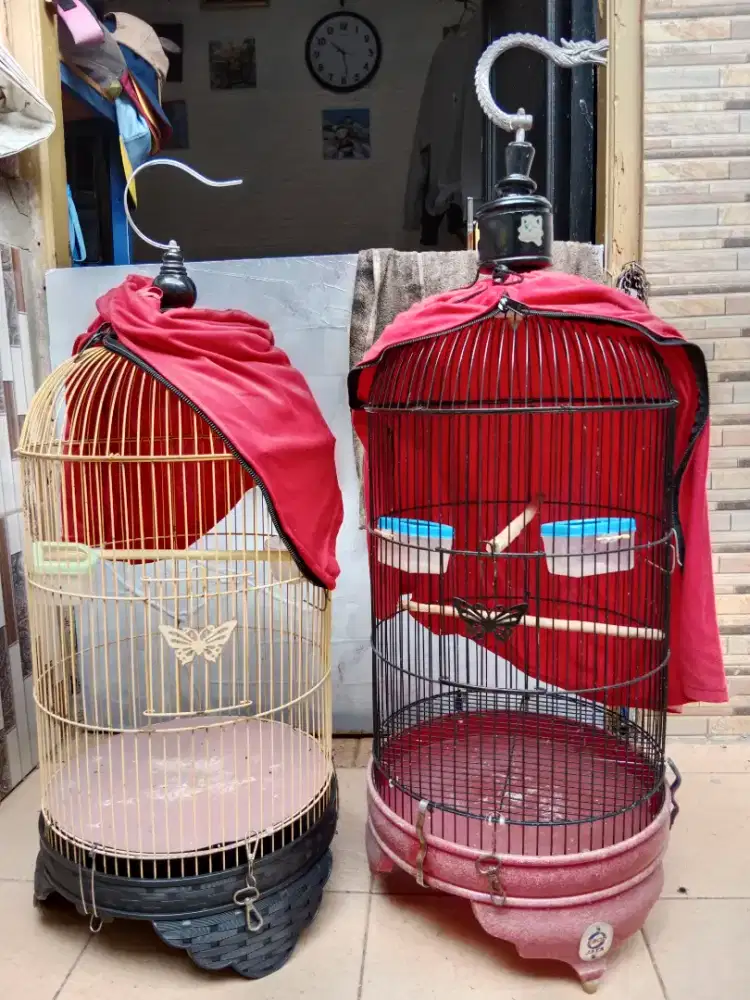 Kandang kapsul lovebird