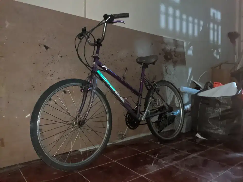 Sepeda Federal Bekas