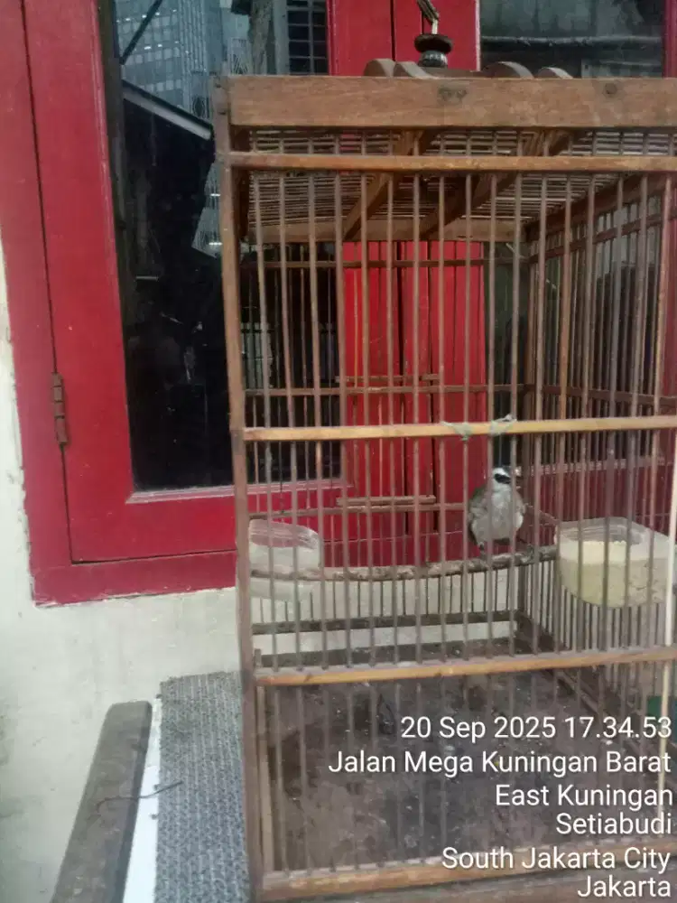 Jual santai sambil ngopiii...