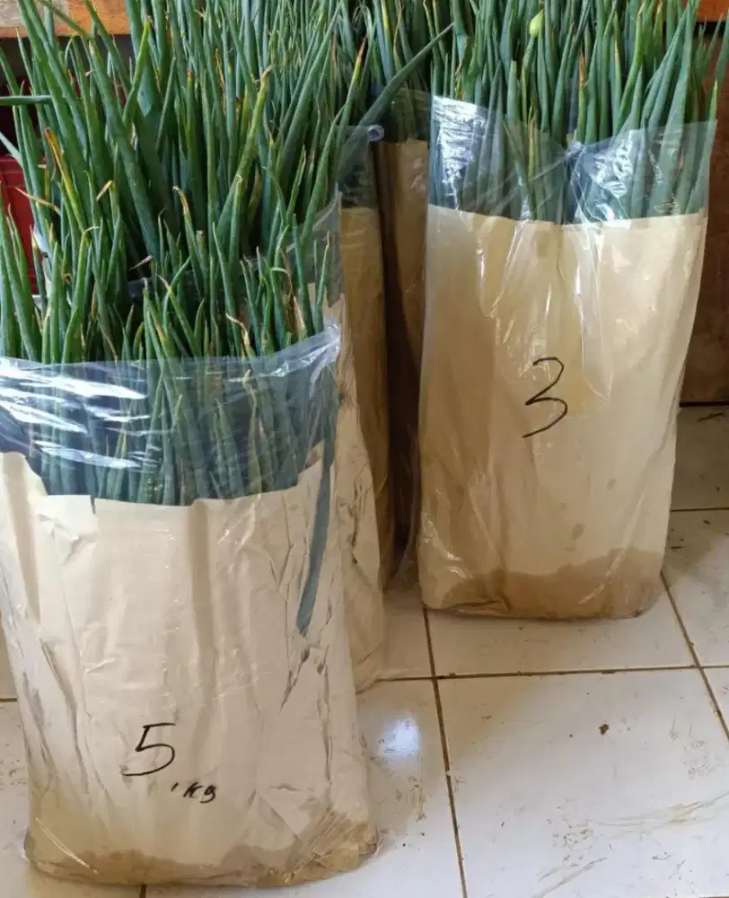 Dibutuhkan Cepat Driver & Gudang