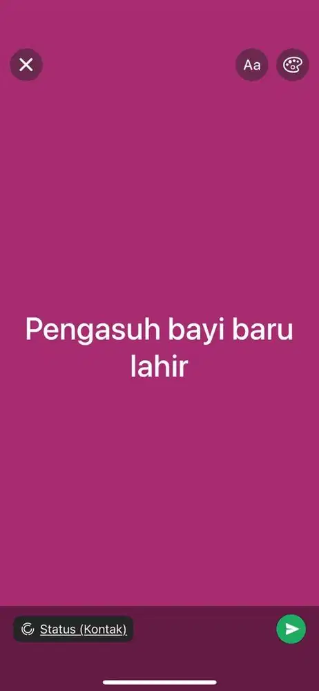 Pengasuh bayi baru lahir