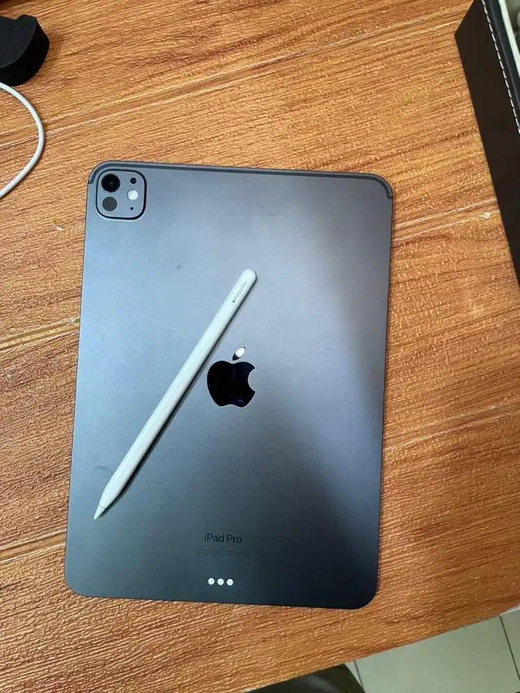 Ipad pro M4 11 256 wifi resmi ibox free pencil pro