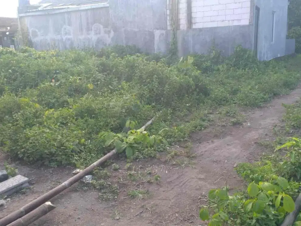 Dijual Tanah Pekarangan Tamanan Bantul