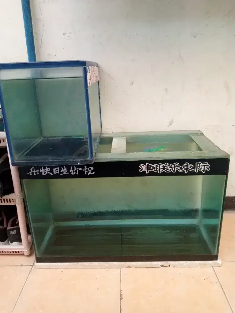 Jual aquarium ikan size 60x35x30
