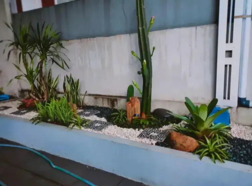 Spesialis pembuat Taman dan kolam koi