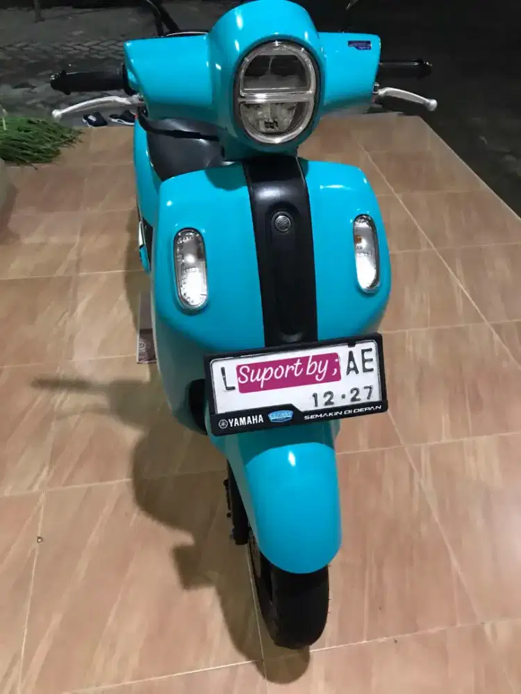 FAZZIO TOZKA th 2022