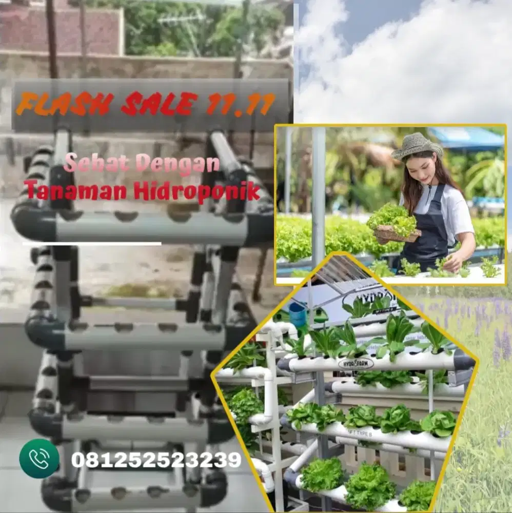 Modul Tanaman Hidroponik 48 Lubang Model Terbaru