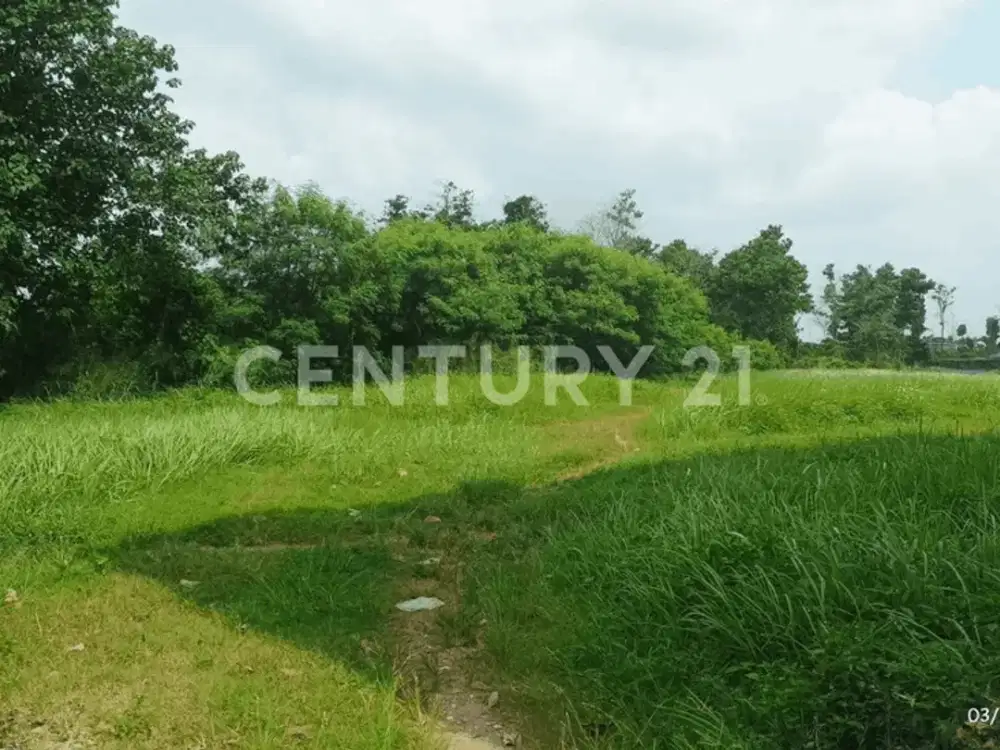 TANAH DI GRIYA ALAM SENTOSA CILEUNGSI BOGOR