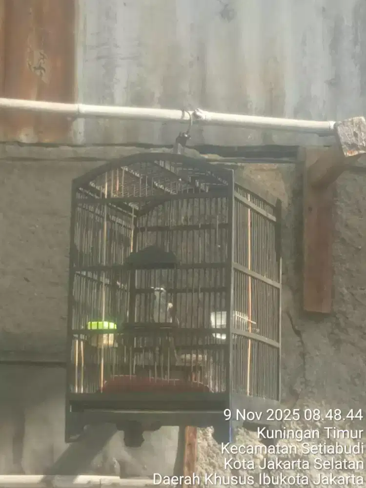 Jual santai ngurangin momongan