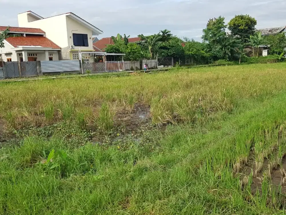 Siap Balik Nama-Tanah Jogja Seberang Plaza Ambarukmo