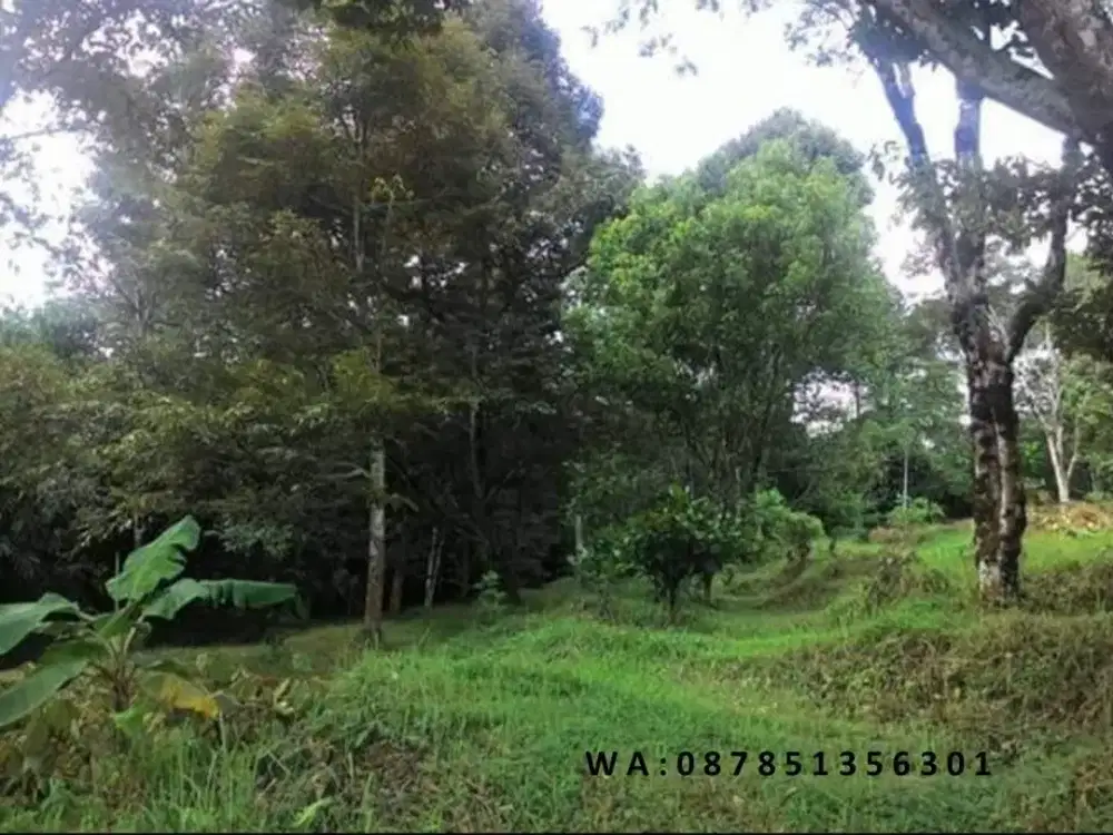 Jual Cepat & Murah Tanah LUAS di Kalisidi, Ungaran, Kab. Semarang