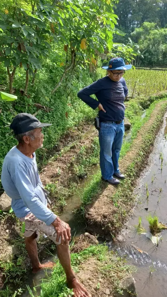 DIJUAL TANAH TASIKMALAYA JAWA BARAT